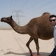 Image for article titled Dubai Is Bizarre: A First Day Report